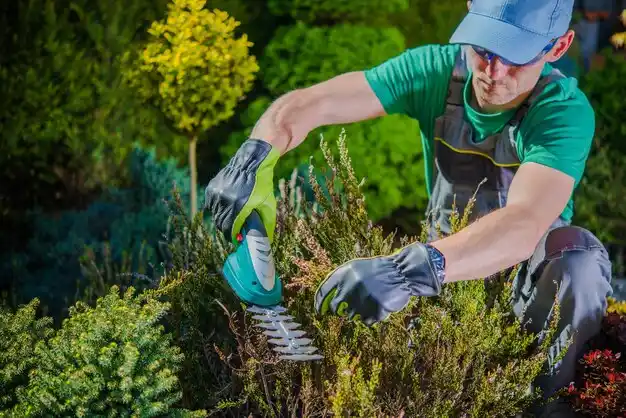 landscaping services Westbury